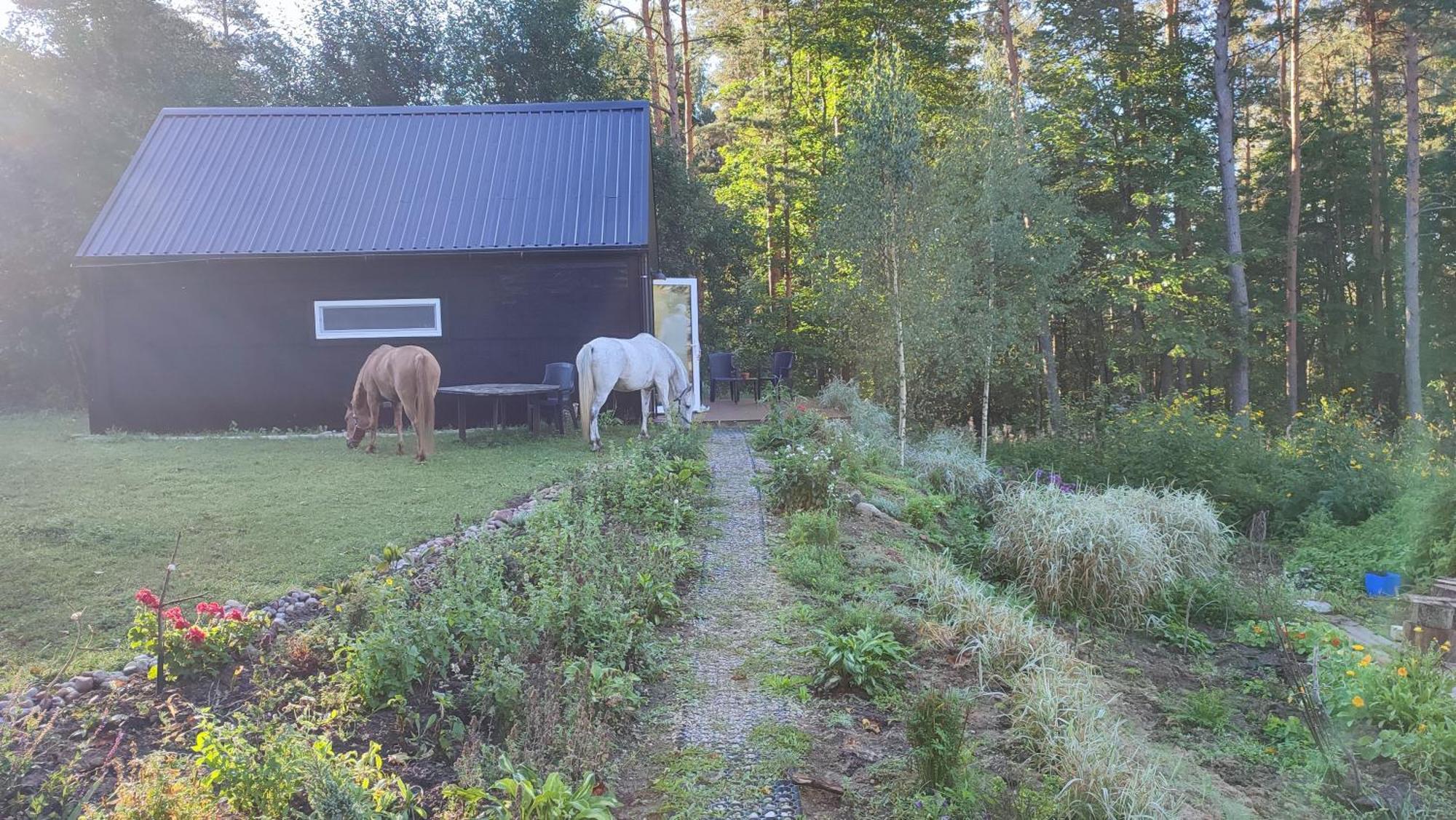 Liyeplauke Modern Sauna Cabin In Horse Ranch מראה חיצוני תמונה