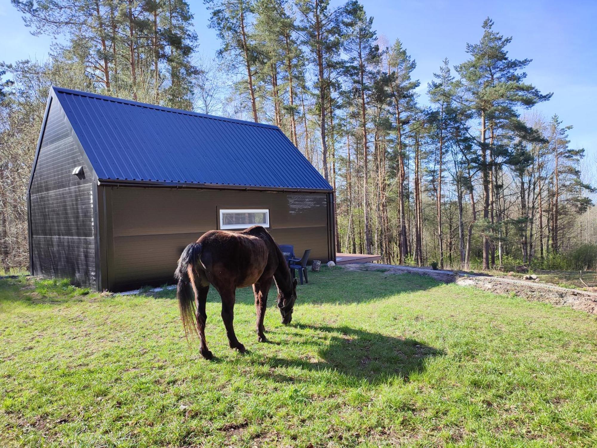 Liyeplauke Modern Sauna Cabin In Horse Ranch מראה חיצוני תמונה
